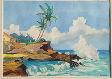 Hawaiian vintage william for sale  Winnetka