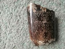 Polished ammonite fossil for sale  WETHERBY