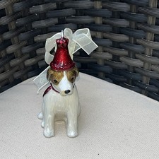 Cute little jack for sale  NUNEATON