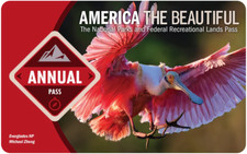 America the beautiful d'occasion  Expédié en Belgium