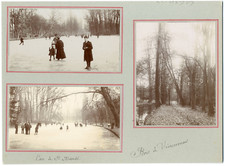 Paris the bois d'occasion  Expédié en Belgium