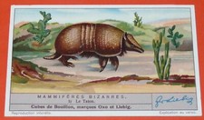 Chromo 1937 liebig d'occasion  Vendat
