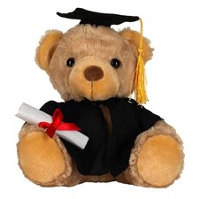 Mumbles graduation teddy for sale  LEICESTER