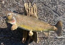 Brown trout inch for sale  Elkin