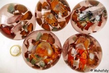 Acrylglaskugel insekten mm gebraucht kaufen  Seebad Bansin