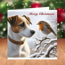 Jack russell terrier for sale  STOCKTON-ON-TEES