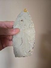 Massive paleo curved for sale  Bluffton