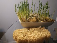 400 micro green for sale  New Canaan