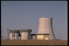 250039 deactivated plant for sale  UK