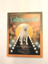 Designer dog labradoodle for sale  South Milwaukee