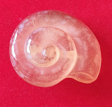 Broche vintage coquille d'occasion Broche vintage coquille d'occasion  Thorigné-Fouillard