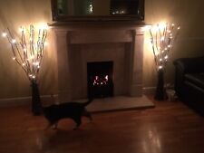 Twig branch light for sale  AYLESBURY