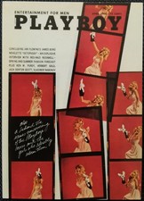 1995 playboy centerfold d'occasion  Fondettes