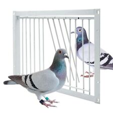 Single entrance pigeon for sale  Shipping to Ireland