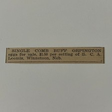 Single comb buff d'occasion  Expédié en Belgium