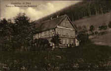 Lautenthal resina bassa usato  Spedire a Italy