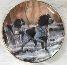 Springer spaniel decorative for sale  DARTMOUTH