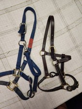 Weanling halters lot for sale  Saint Louis