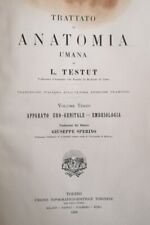 Anatomia umana volume usato  Fabrica di Roma