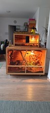 Terrarium 2 etagen gebraucht kaufen  Kamen