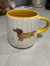 John lewis dachshund for sale  DROITWICH