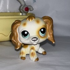 lps cocker spaniels for sale lps cocker spaniels for sale Kissimmee