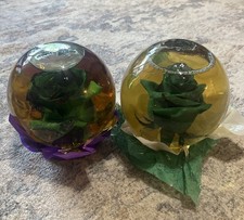 (2) Globo de rosa verde vintage de longa duração real em cúpula de vidro preservada em água comprar usado  Enviando para Brazil