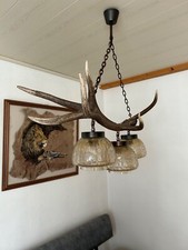 hirsch lampe gebraucht kaufen hirsch lampe gebraucht kaufen Igersheim