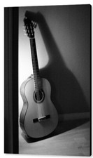 Guitar still life for sale  High Point