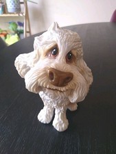 Little paws dog for sale  LIVERSEDGE