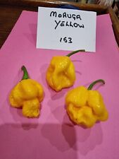 Trinidad moruga scorpion for sale  HUDDERSFIELD