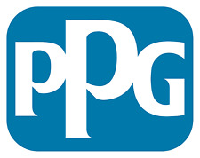 Ppg f300 tinta usato  Palermo