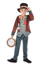 Bristol novelty costume usato  Spedire a Italy