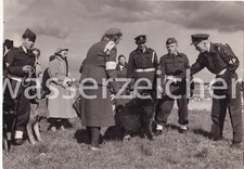 Riginal foto militärpolizei gebraucht kaufen  Berlin