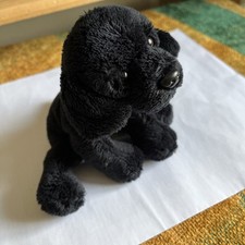 Suki black labrador for sale  READING