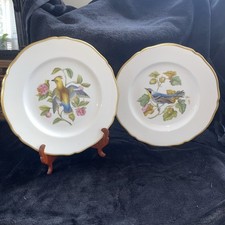 1940 spode bone for sale  UK