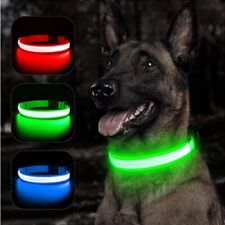 Collier chien lumineux d'occasion  L'Isle-d'Abeau