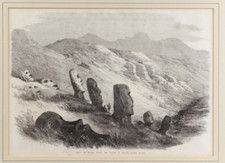 Rare easter island for sale  BRUTON