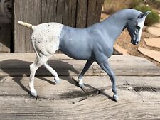 project paint horse for sale  Atlanta