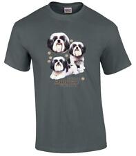 Shih tzu dog for sale  Kimberling City