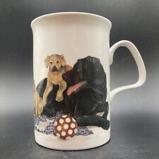 Vintage 1990 roy for sale  NORTHAMPTON