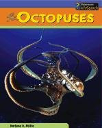 Octopuses for sale  Interlochen