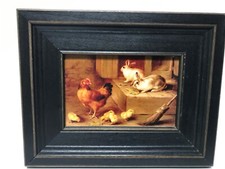New reproduction rabbits for sale  White Bluff