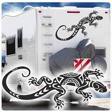 Tribal gecko wohnmobil gebraucht kaufen  Darmstadt