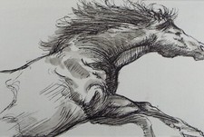 Original pen ink for sale  WIRRAL