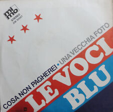 Voci blu cosa usato  Italia