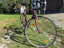 Herren rennrad alttagstauglich gebraucht kaufen  Mittelbiberach