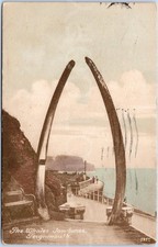Vintage postcard whales for sale  UK