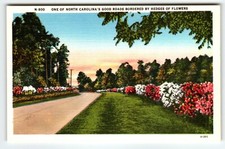 Flower bordered roadway for sale  Collingswood