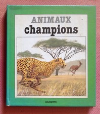 Nockels animaux champions d'occasion  France